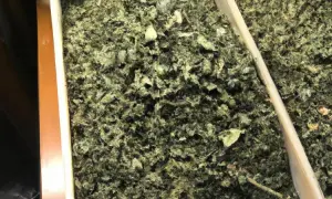 Najskuteczniejsze herbaty na biegunkę. Naturalne sposoby na szybkie ukojenie żołądka