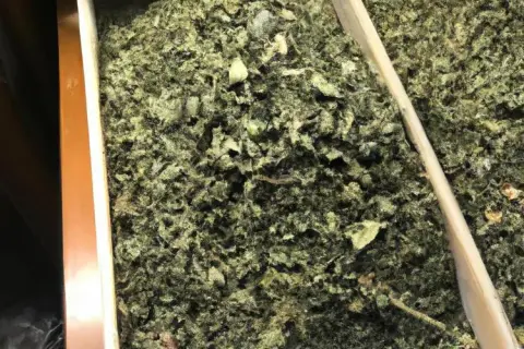 Najskuteczniejsze herbaty na biegunkę. Naturalne sposoby na szybkie ukojenie żołądka