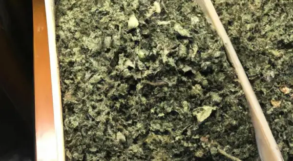 Najskuteczniejsze herbaty na biegunkę. Naturalne sposoby na szybkie ukojenie żołądka
